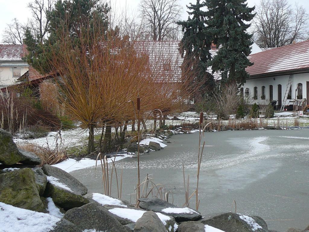 La Ferme De Sissi Apartment Smrzice Екстериор снимка
